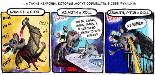 Удивительное рядом.  Никогда не знаешь, как видит окружающее пространство пролетающая мимо мышь. 03