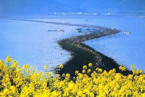 Домашняя маска-пиллинг - всего 2 ингредиента.  1 ст.