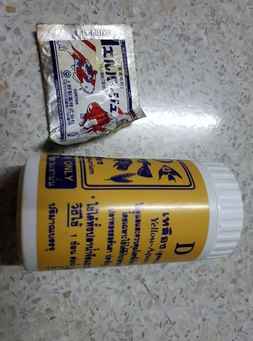 У жительницы Таиланда любимую золотую рыбку поразила плавниковая гниль: хвост отвалился и наружу торчали кости. 02