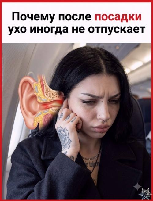 Заложенные уши во время полёта появляются не из-за высоты как таковой, а из-за разницы давления, с которой организм не всегда успевает справиться. 01