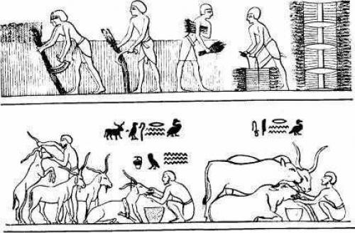 Каменные ребусы древних египтян. 01 Каменные ребусы древних египтян. 01