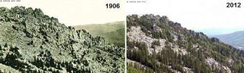 На Урале меняется экосистема: Лысые горы за 100 лет покрылись лесами. 02 На Урале меняется экосистема: Лысые горы за 100 лет покрылись лесами. 02