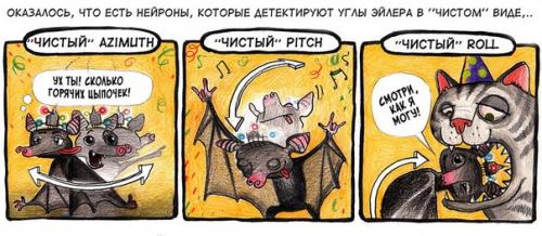 Удивительное рядом.  Никогда не знаешь, как видит окружающее пространство пролетающая мимо мышь. 02