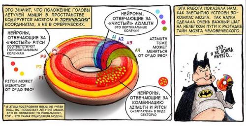 Удивительное рядом.  Никогда не знаешь, как видит окружающее пространство пролетающая мимо мышь. 05