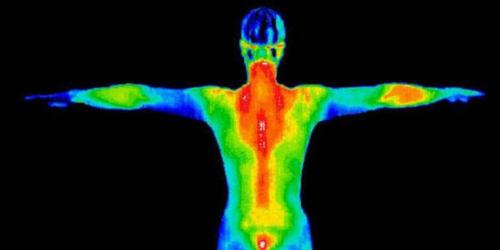 Новейший биосенсор способен обнаружить патогенные микроорганизмы за секунды.