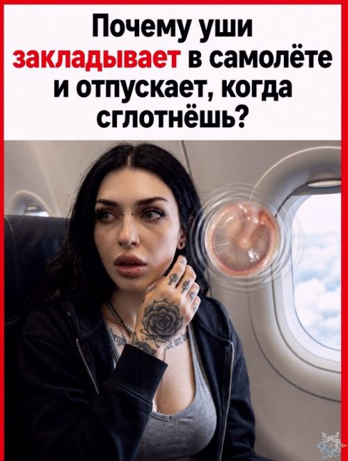 Заложенные уши во время полёта появляются не из-за высоты как таковой, а из-за разницы давления, с которой организм не всегда успевает справиться.  