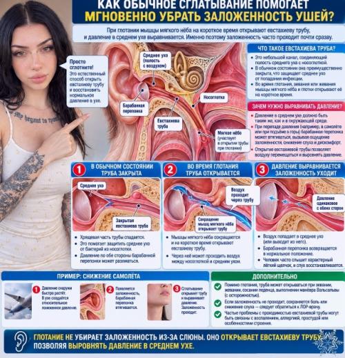 Заложенные уши во время полёта появляются не из-за высоты как таковой, а из-за разницы давления, с которой организм не всегда успевает справиться. 05