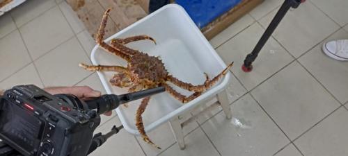 Алексей Вершинин поделился кадрами со съемок нового фильма о камчатском крабе. 01 Алексей Вершинин поделился кадрами со съемок нового фильма о камчатском крабе. 01