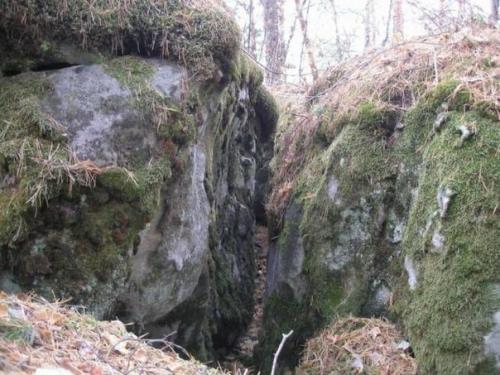 Самарские аномалии: тайны рачейского бора. 06 Самарские аномалии: тайны рачейского бора. 06