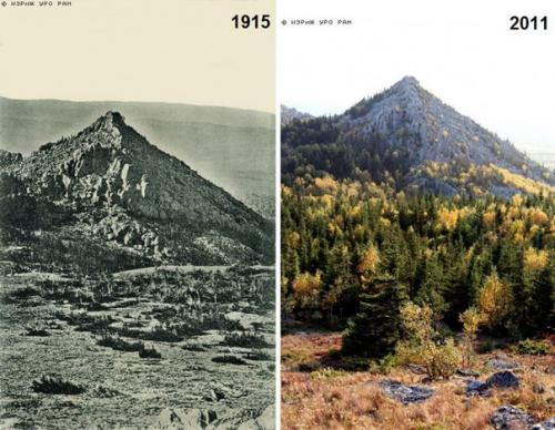 На Урале меняется экосистема: Лысые горы за 100 лет покрылись лесами. 01 На Урале меняется экосистема: Лысые горы за 100 лет покрылись лесами. 01