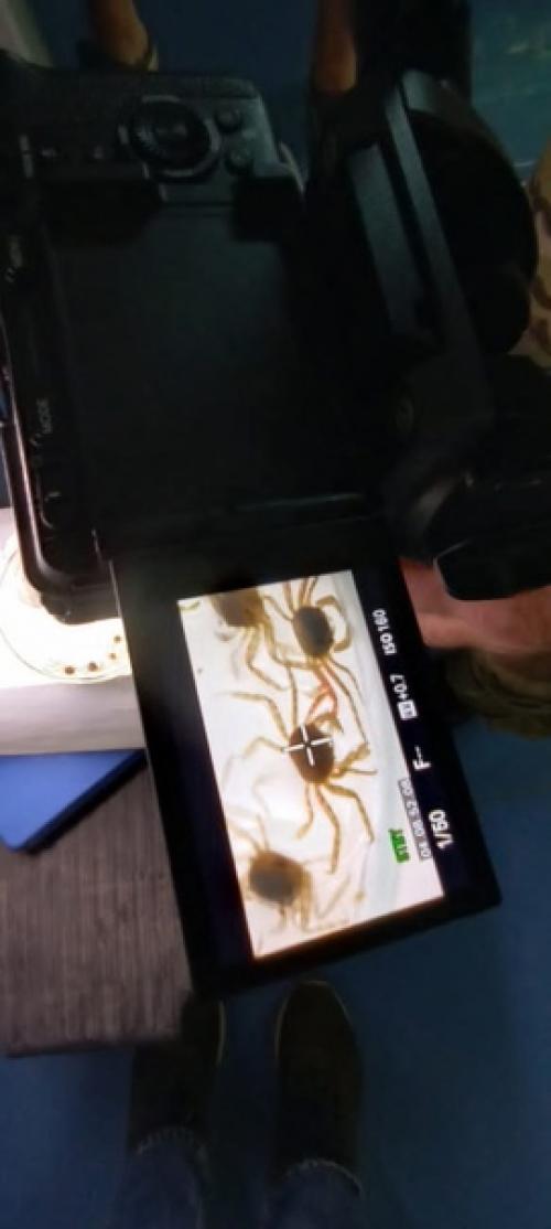 Алексей Вершинин поделился кадрами со съемок нового фильма о камчатском крабе. 02 Алексей Вершинин поделился кадрами со съемок нового фильма о камчатском крабе. 02