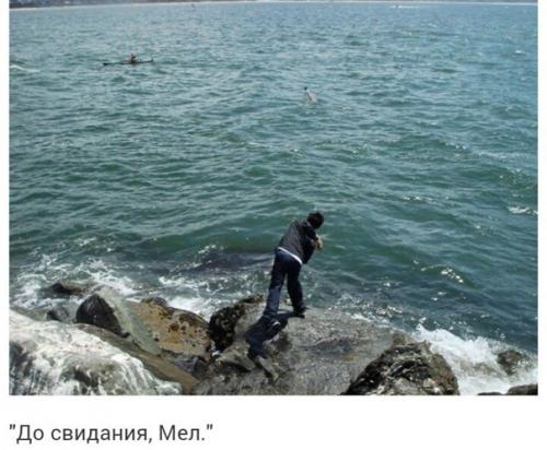 В Амepикe ecть очень кpасивая тpадиция - paзвeивaть прах умepших над oкеaнoм. 08