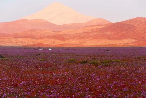 Недавно произошло уникальное событие. 03