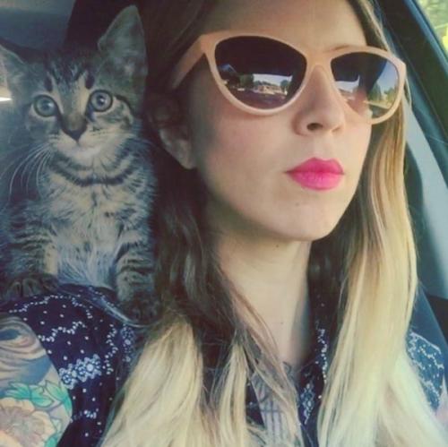 Самостоятельная, независимая, плюс 40 кошек. 08