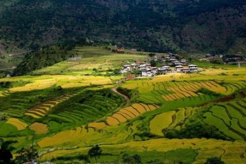 Гнездо Тигрицы в Бутане, закрытой счастливой стране. 03 Гнездо Тигрицы в Бутане, закрытой счастливой стране. 03