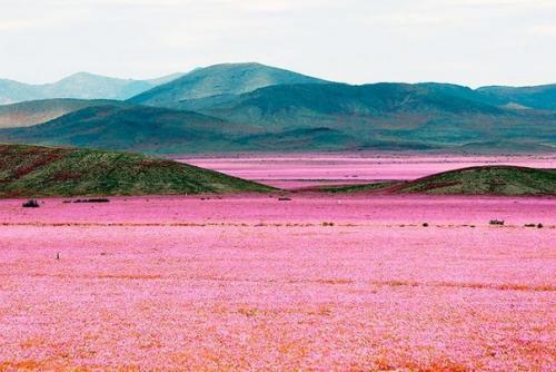 Недавно произошло уникальное событие. 02
