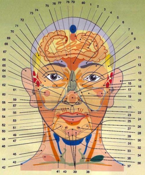 Диагностика здоровья по лицу и шее (часть 1).
