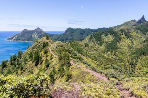 Боль в спине?  Не проблема, ловите отличный комплекс упражнений. 05