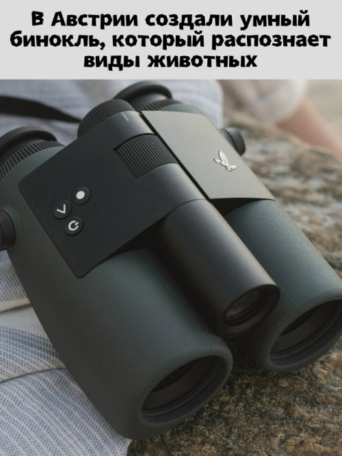 Swarovski Optik AX Visio - бинокль, который 