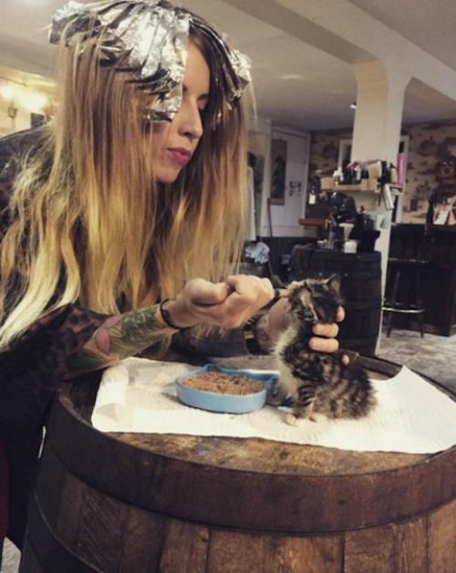 Самостоятельная, независимая, плюс 40 кошек. 05