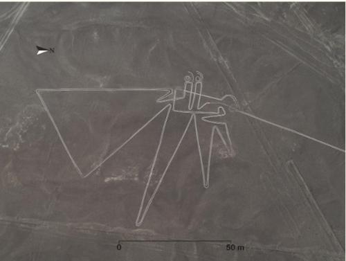 Японские исследователи нашли на плато Наска 143 ранее неизвестных геоглифа. 01