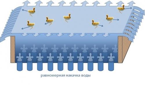 О чёрных дырах и вселенной на примере утят. 01 О чёрных дырах и вселенной на примере утят. 01