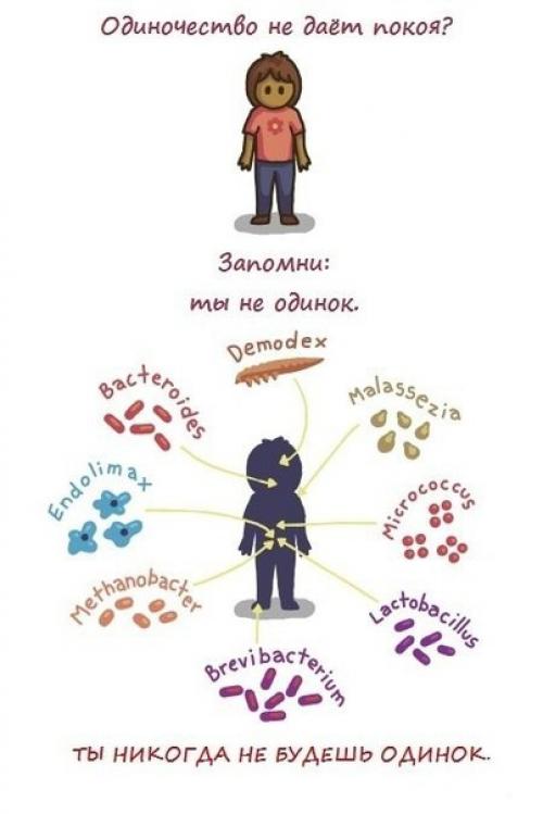 А вы знаете, что живущие в нашем организме бактерии весят не менее полутора двух - килограммов?