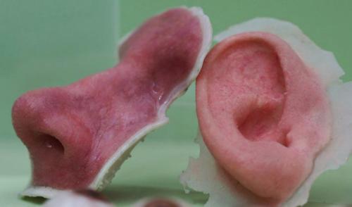 В Австралии откроют центр по производству искусственных органов и тканей.

