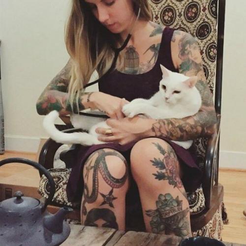 Самостоятельная, независимая, плюс 40 кошек. 02