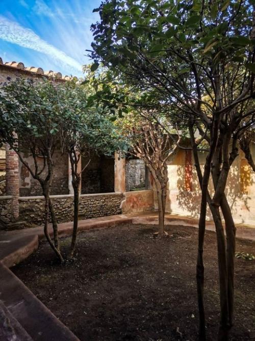 Помпеи.  Дом арок. 03