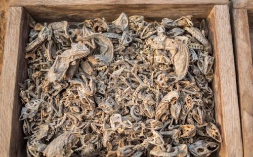 Рынок вуду в Африке. 02