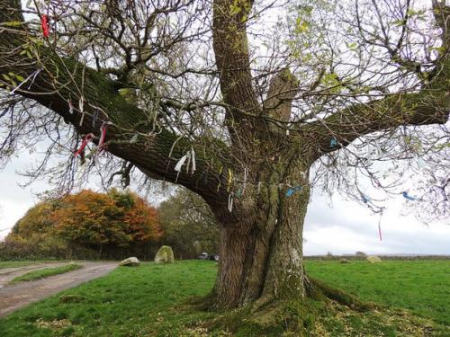 Длинная Мэг.  Ezomir. 07