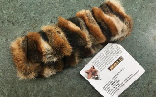 Губернатор американского штата Калифорния Гэвин ньюсом подписал документ, содержащий ряд мер, которые направлены на защиту животных. 02