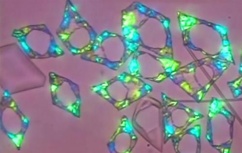 Замёрзшая нефть может стать ключом к меняющим форму материалам.