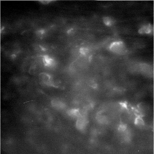 Снимки от Кассини, сделанные во время первого нырка в зазор между кольцами и планетой! 01