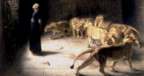 Вы все еще в свою интуицию верите. Вы все еще в свою интуицию верите.