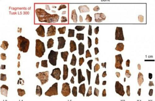 Свидетельства того, что человек пользовался огнём уже миллион лет назад.
