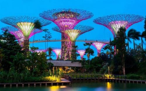 Неповторимый природный парк в Сингапуре. 01