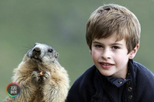 Восьмилетний Маттео вальч (Matteo Walch) пять лет назад обнаружил альпийских сурков и начал наблюдать за ними. 01