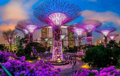 Неповторимый природный парк в Сингапуре. 02