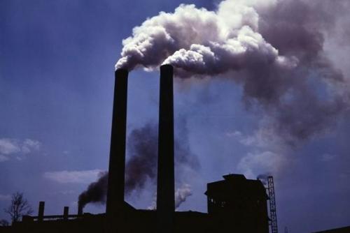 К чему приведет исчезновение человека. 04 К чему приведет исчезновение человека. 04