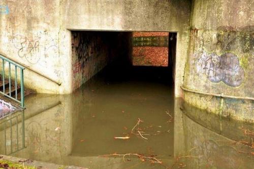 К чему приведет исчезновение человека. 01 К чему приведет исчезновение человека. 01