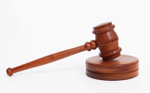 Губернатор американского штата Калифорния Гэвин ньюсом подписал документ, содержащий ряд мер, которые направлены на защиту животных. 04