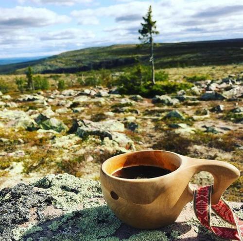 Фото: старейшие деревья мира. 05