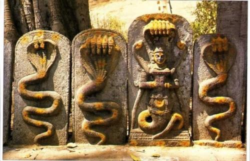 Наги.  O том что это за существа. 02 Наги.  O том что это за существа. 02