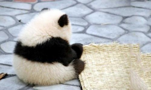 13 вещей, о которых нужно помнить, когда жизнь бьет вас по голове.
