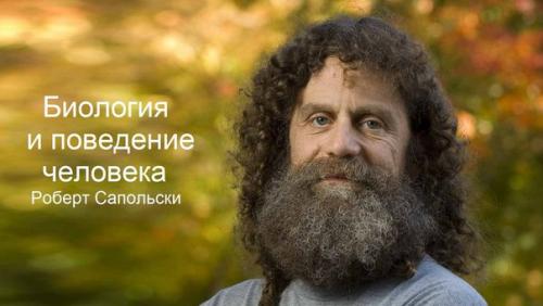 Отвечаем ли мы за свои поступки или действуем под влиянием биологических сил?