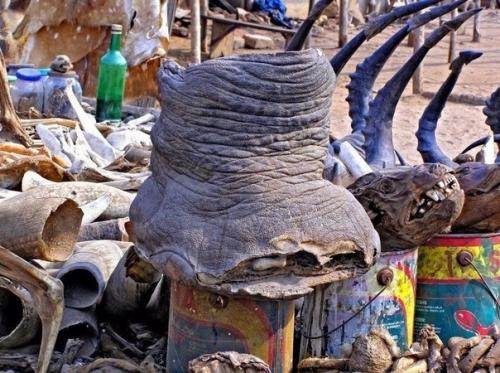 Рынок вуду в Африке. 03