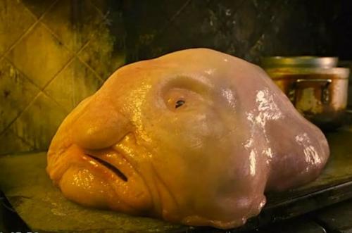 Морские чудовища, живущие в глубине океана. 08