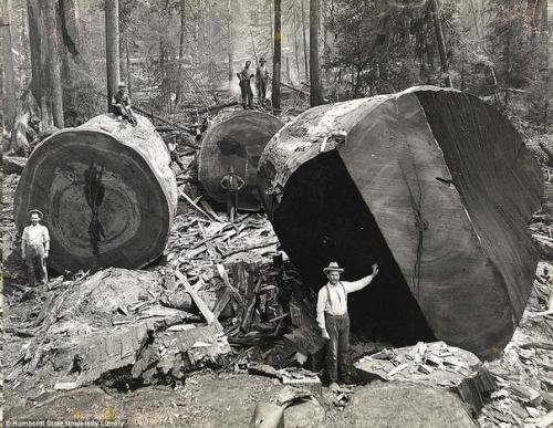 Северная Америка.  Начало 20-го века. 04